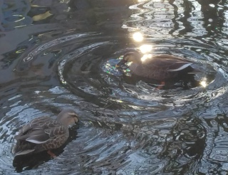 ���o�������[�h�i2025�N12��23���j