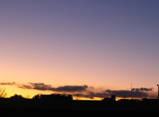 �i�C�X�Ȉ�T�ԁi2026�N1��23���j