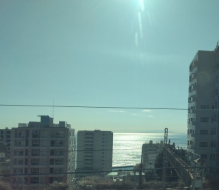 ��������w�i2026�N2��19���j