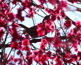 �t��ԁi2026�N2��23���j