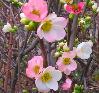 2���G���h�i2026�N2��28���j