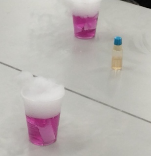 �L�b�Y�T�C�G���X2026�t�i2026�N3��8���j