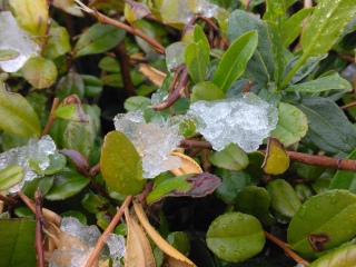 3���̐�i2026�N3��10���j