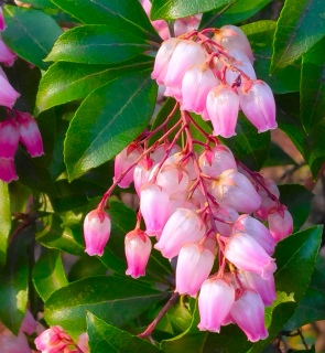 ������������i2026�N3��12���j