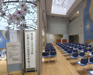 �j���ƁE�C�����i2026�N3��25���j