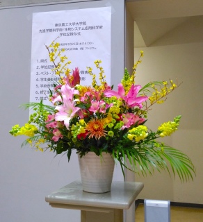 �w�ʎ��^���i2026�N3��25���j