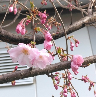 ���������i2026�N3��28���j