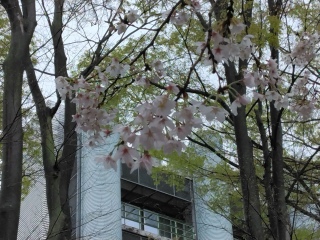 AIS�V�������}��i2026�N4��6���j