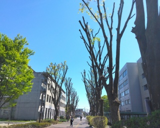 ��1��p�t�����i2026�N4��8���j